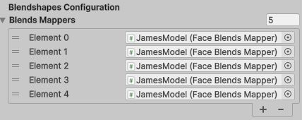 Blends Mappers expanded with five assigned Face Blends Mapper components on JamesModel